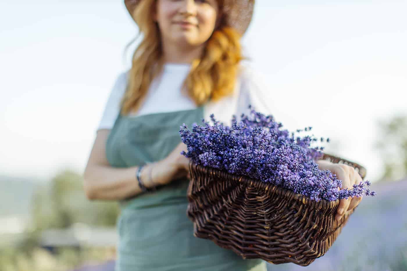 pexels anastasia shuraeva 5126994
